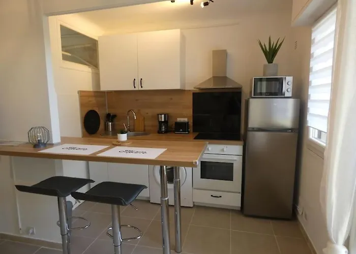 Studio Moderne En Rez De Jardin